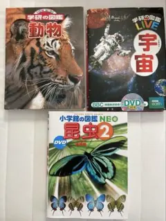 Item thumbnail for item 2601d780-a296-4493-afd0-6394760476d5