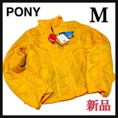 Item thumbnail for item 685c038d-18c2-4691-80fc-8caeae5a2019