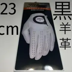 Item thumbnail for item 9e0b8fc0-f506-438d-9f26-d223a1c16508