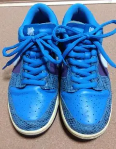 【美品】ナイキ ダンクLO ダンクVSエアフォース1