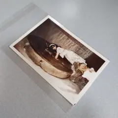 中森明菜生写真　★当時物★