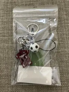 ヴィッセル 応援グッズ