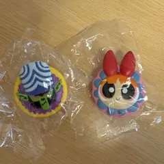 パワーパフガールズ　ライトクリップ　ブロッサム　モジョ・ジョジョ