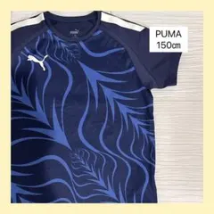 PUMA キッズ Tシャツ ネイビー 150cm