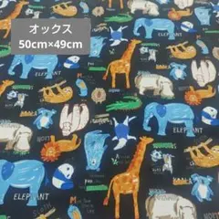 オックス　動物　黒　ライオン　なまけもの　ゴリラ　ぞう　きりん　パンダ　コアラ