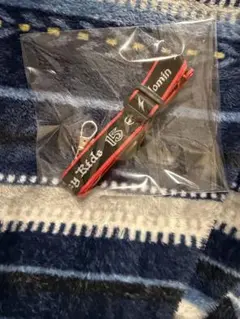 Stray Kids スキズ domin ATE ネックストラップ　フィリックス