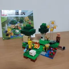 2025年最新】レゴ 21165の人気アイテム - メルカリ