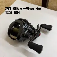 Daiwa 20 タトゥーラ SV TW 103SH ベイトリールのサムネイル