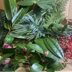 Item thumbnail for item 0b8302cb-a674-4432-9b5a-f2abc90e9115