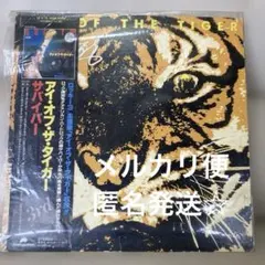2026年最新】アイオブザタイガーの人気アイテム - メルカリ