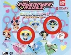 パワーパフガールズ スぺシャルカラーver.　めじるしアクセサリー2