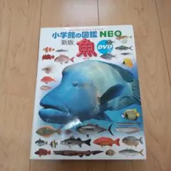 魚