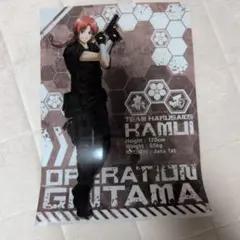 銀魂　神威　クリアファイル