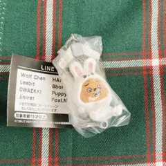 【ガチャガチャ】SKZOO つまんでつなげてますこっ　vol.2 ハン