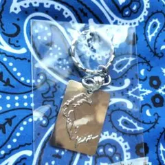 Item thumbnail for item d5e778a4-54bc-4d33-a08a-663d3b24ebb9