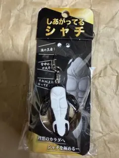 SnowMan岩本照さん愛用しあがってるシャチキーホルダーのサムネイル