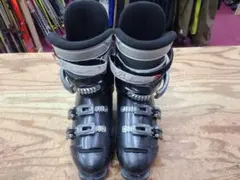 Item thumbnail for item 769e281d-1bb4-4f45-82b4-4f948551b831