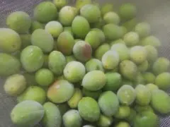 青梅 小梅 岩手県産 期間中農薬除草剤不使用のサムネイル