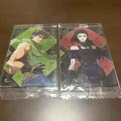 ジョジョの奇妙な冒険 ジョセフ＆リサリサ カード 2枚セット