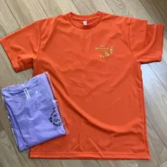 茨城メロンメロンラン ＆シャインシャインマスカットラン　Tシャツ2枚セット　LL