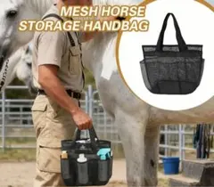 Item thumbnail for item c7b964ce-f2b7-48bd-b794-5065d2520633