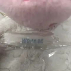 ウォンヒ アイドル