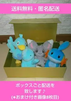 ポケットモンスター ぬいぐるみ タグ付き