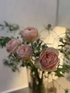 まめさん専用MARITHE FRANCOIS GIRBAUD ネイビー トレーナ