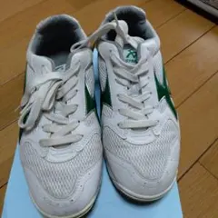 体育館シューズ　MoonStar GYMSTAR　25センチ