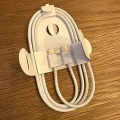 Apple純正 USB type-cケーブル 1m