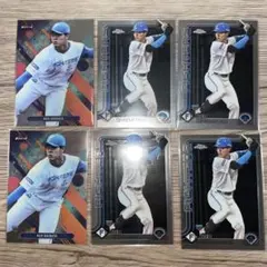 柴田獅子 スポーツカード