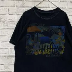 USA製90sヴィンテージTシャツ！シングルステッチブラック古着M 0528 