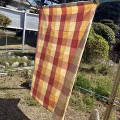 Item thumbnail for item 2873ff96-c906-4951-9acc-e50de94e5b12