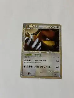 こ*り様 リングマ ☆ L1 他グレートレア（リングマ、デンリュウ、ドンファン） こ*り様 リングマ ☆ L1 他グレートレア（リングマ、デンリュウ、ドン