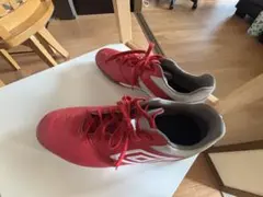 Item thumbnail for item ba2d9051-b1fa-4817-bafa-5d9631817c15