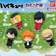 ハイキュー!! ねむらせ隊