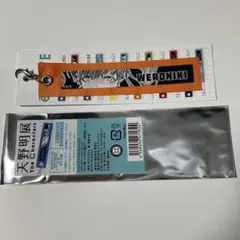 ベロニカ　リボンチャームコレクション　天野明展　キーホルダー　エルドライブ