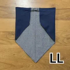 Item thumbnail for item 3b5f1789-994a-4247-a818-b90e869773ac