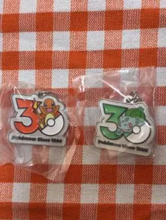 ポケモン30周年　メタルチャームマスコット　2個セット