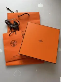エルメス HERMES オレンジボックス 空箱 070bis 靴紐 保存袋 - メルカリ