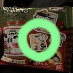 PEANUTSSNOOPYパッケージチャーム チャーリーブラウン