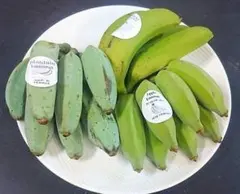 農家産直特価！沖縄産 人気の国産バナナ３種！食べ比べ！３種バナナセット！のサムネイル