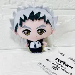 ハイキュー!! ぬいぐるみちゃーむvol.2 マスコット ぬいぐるみ 木兎光太郎