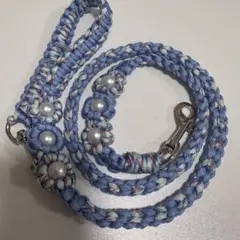 Item thumbnail for item c607d5e6-1145-459e-8ce3-cdb648181d28