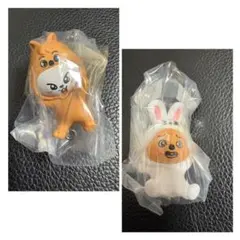 SKZOO つまつな　リービット　クウォッカ　味噌