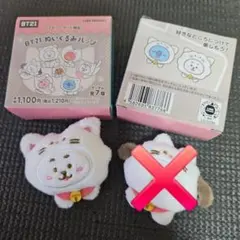 BT21ぬいぐるみバッジ RJ