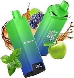 りゅう様専用　電子タバコ 使い捨て vape ベイプ シーシャ 禁煙グッズ