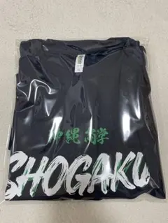 ラスト2 沖縄尚学 2026 第98回 センバツ 出場記念Tシャツ 沖尚 - メルカリ