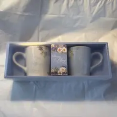 ディズニー　40周年限定！マグカップセット