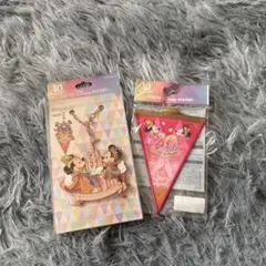 東京ディズニーリゾート 40周年 バケーションパッケージ　バッグチャーム